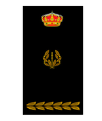 Escudo Inspector Jefe