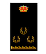 Escudo Inspector
