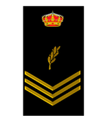Escudo Oficial