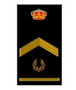 Escudo Subinspector